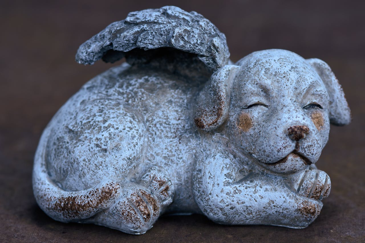 hero-img-01 Close-up of a stone dog angel sculpture with wings, conveying a serene and peaceful atmosphere.