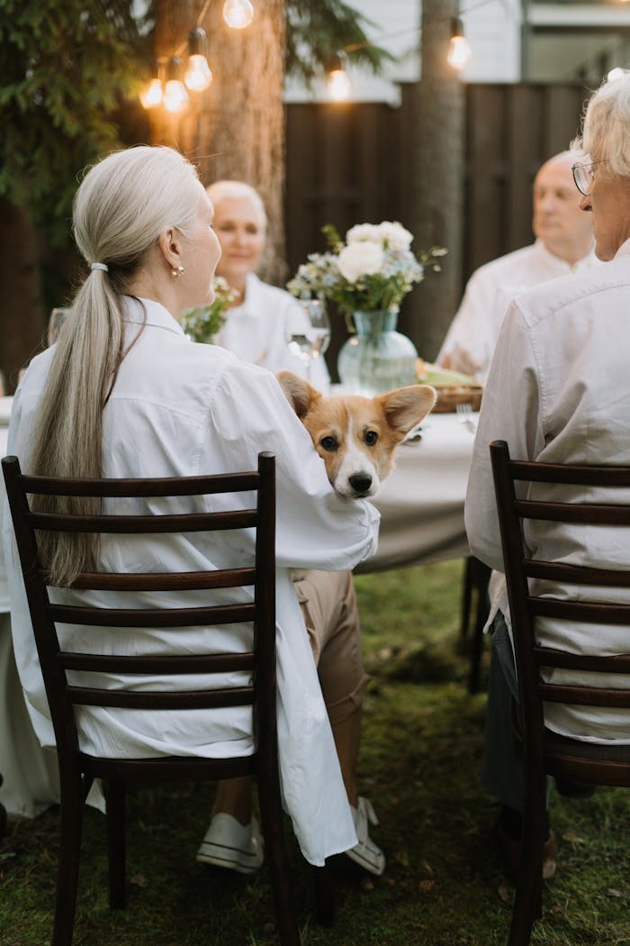 gallery-1 Elderly friends enjoy an outdoor dinner party with a corgi dog.