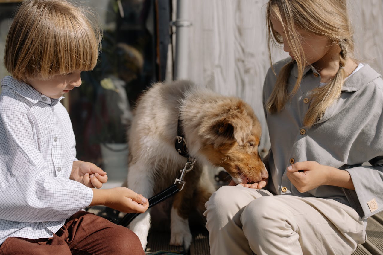 about-01 Two children feeding a dog in a sunny outdoor setting, promoting friendship and bonding.