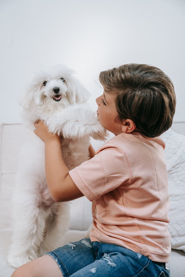 gallery-2 Child enjoying playful moment with a fluffy white dog on a cozy sofa.